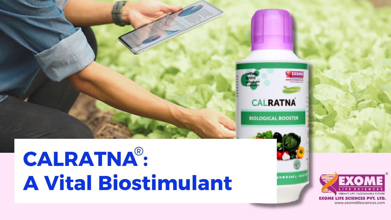 Read more about the article Calratna: A Vital Biostimulant for More Robust Crops