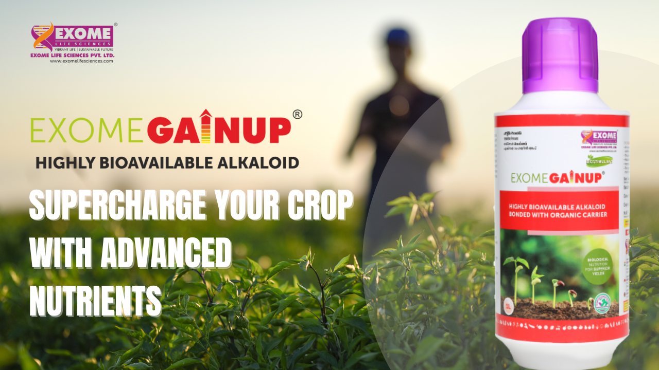 Read more about the article Exome Gainup: Supercharge Your Crop with Advanced Nutrients
