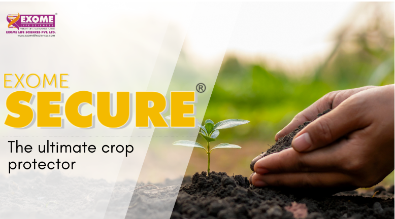 Read more about the article Boost Your Yield with Exome Secure: The Ultimate Crop Protector